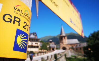 ¿Quieres hacer el Camino de Santiago en grupo?